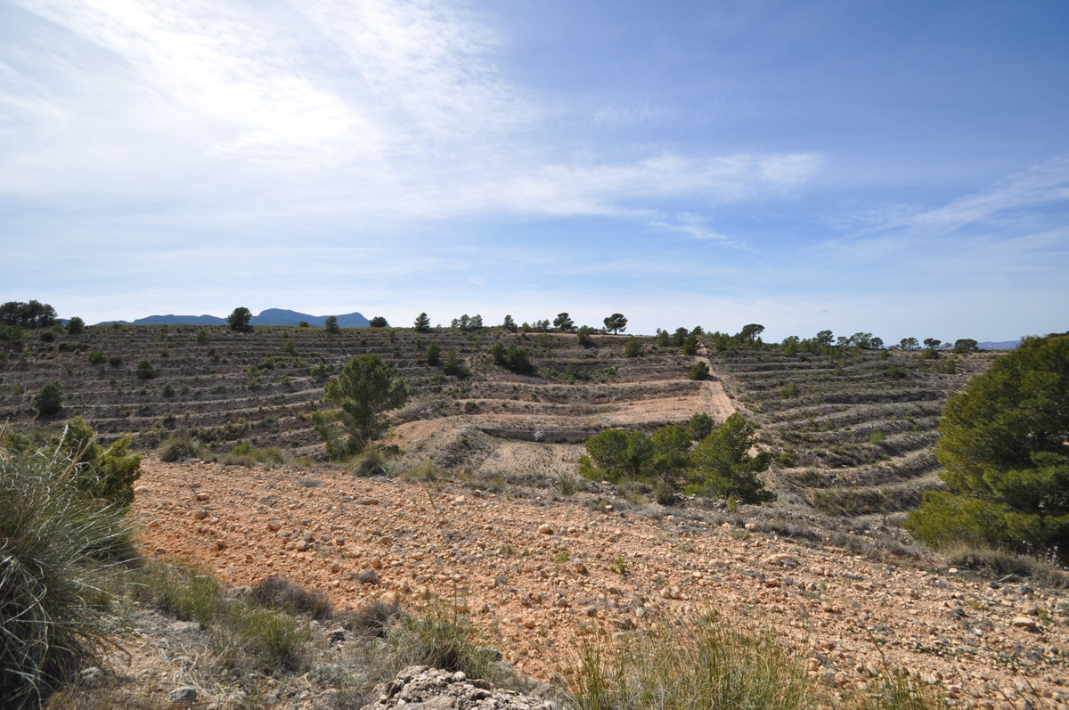 Se vende Terreno Rustico  en Costa Calida, Murcia, España