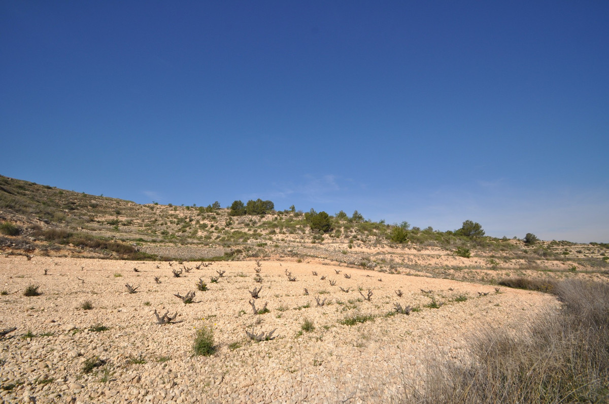 Se vende Terreno Rustico  en Costa Calida, Murcia, España