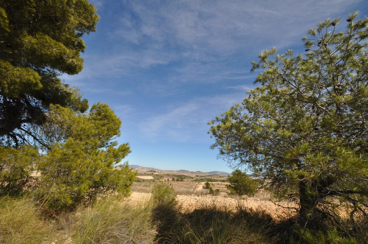 Se vende Terreno Rustico  en Costa Calida, Murcia, España