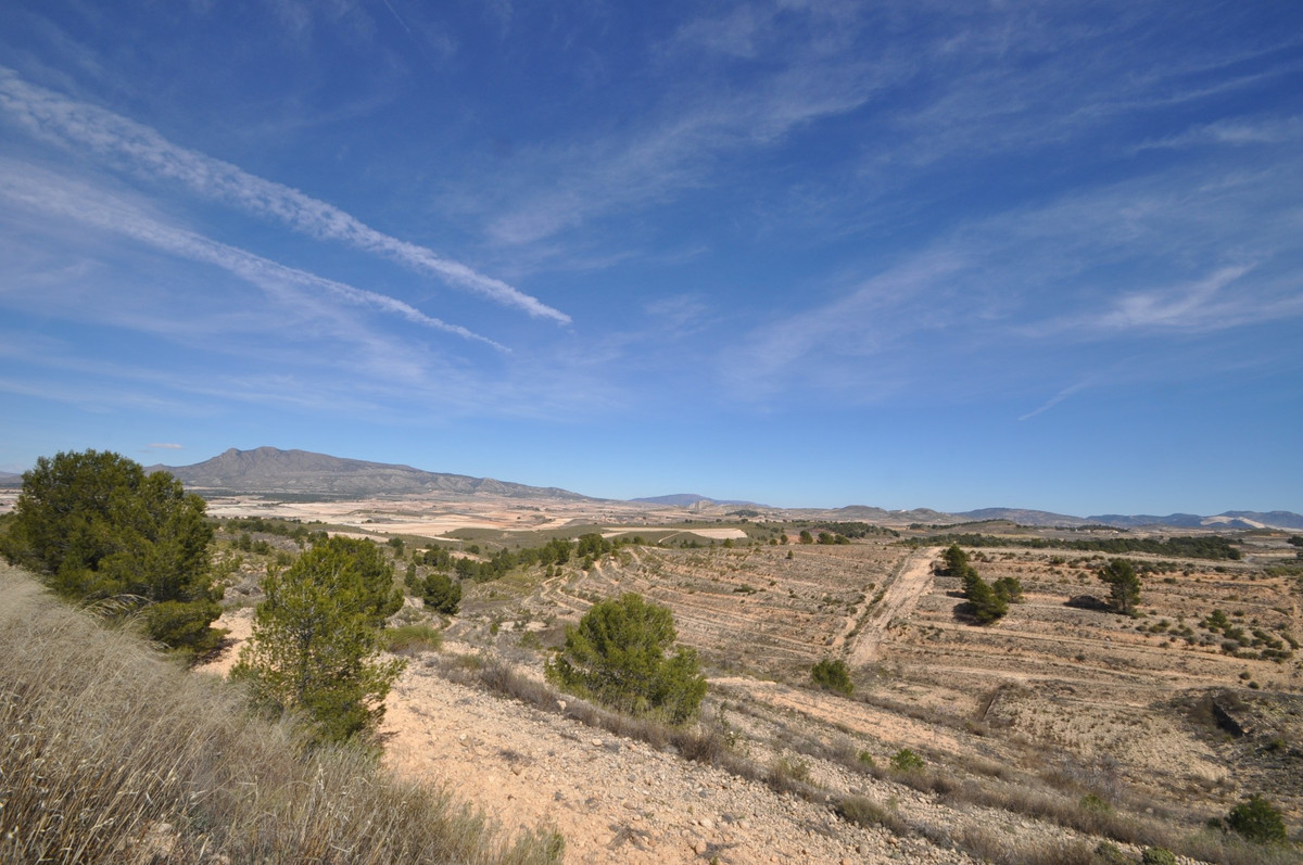 Se vende Terreno Rustico  en Costa Calida, Murcia, España