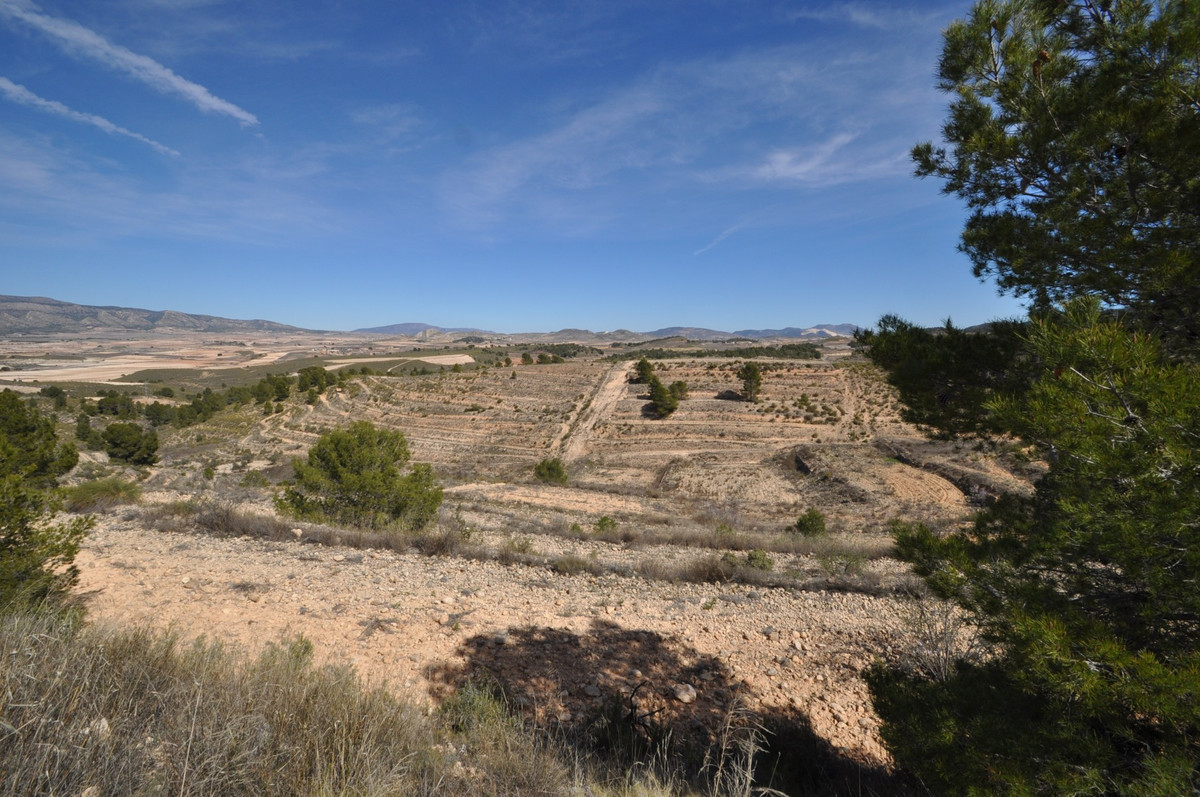 Se vende Terreno Rustico  en Costa Calida, Murcia, España