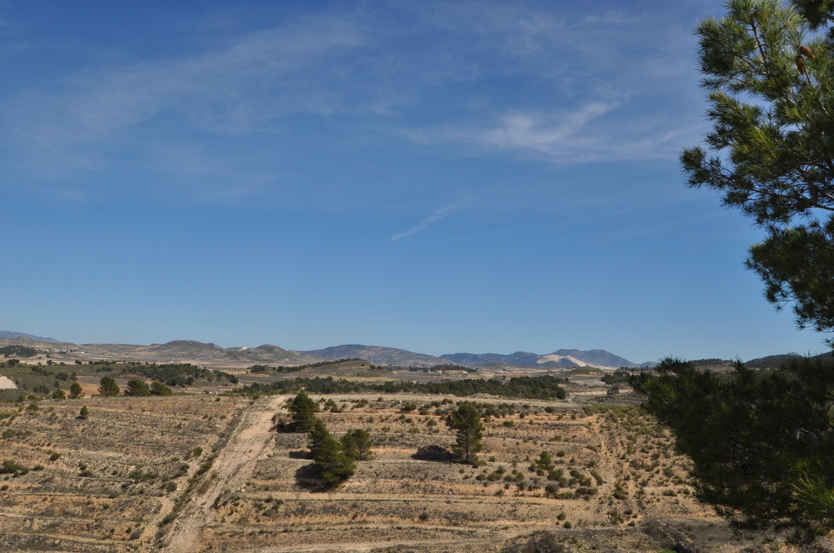 Se vende Terreno Rustico  en Costa Calida, Murcia, España