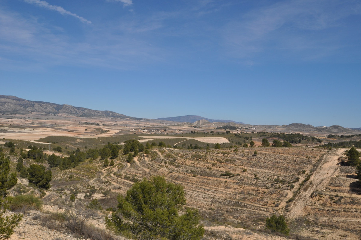 Se vende Terreno Rustico  en Costa Calida, Murcia, España