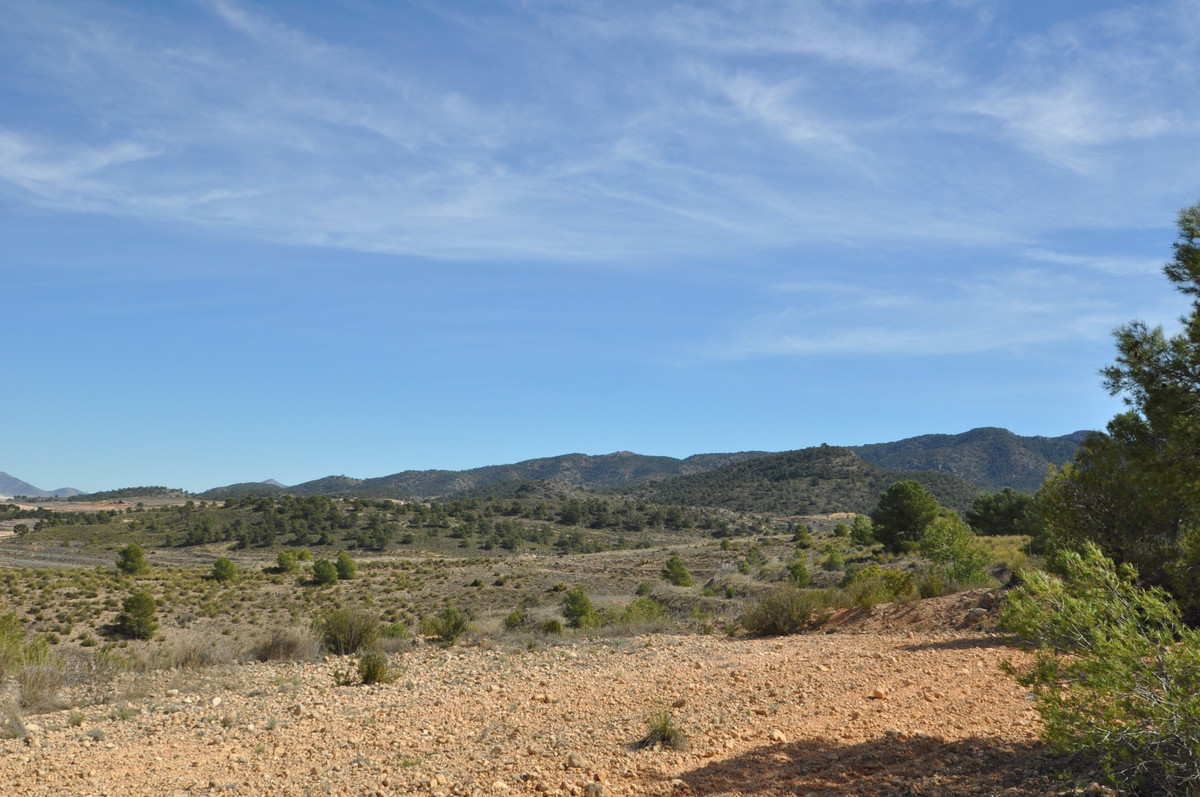 Se vende Terreno Rustico  en Costa Calida, Murcia, España