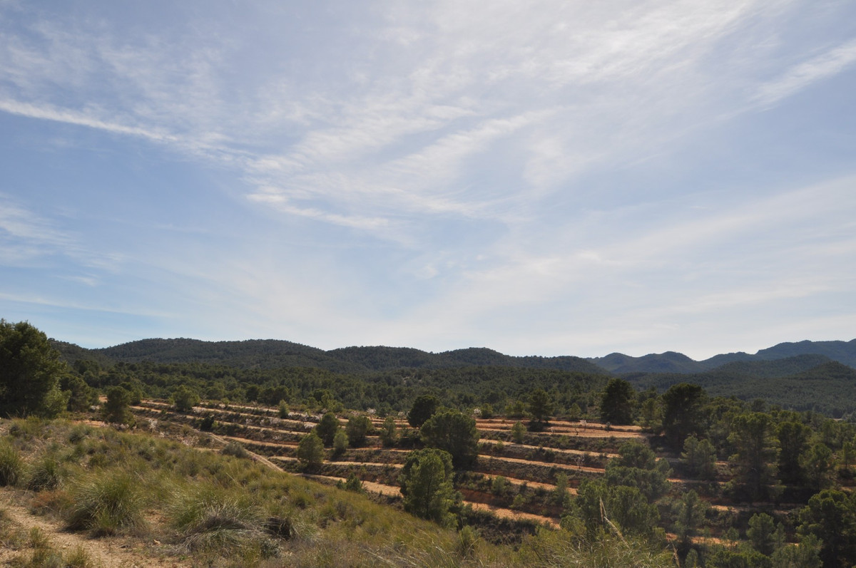 Se vende Terreno Rustico  en Costa Calida, Murcia, España