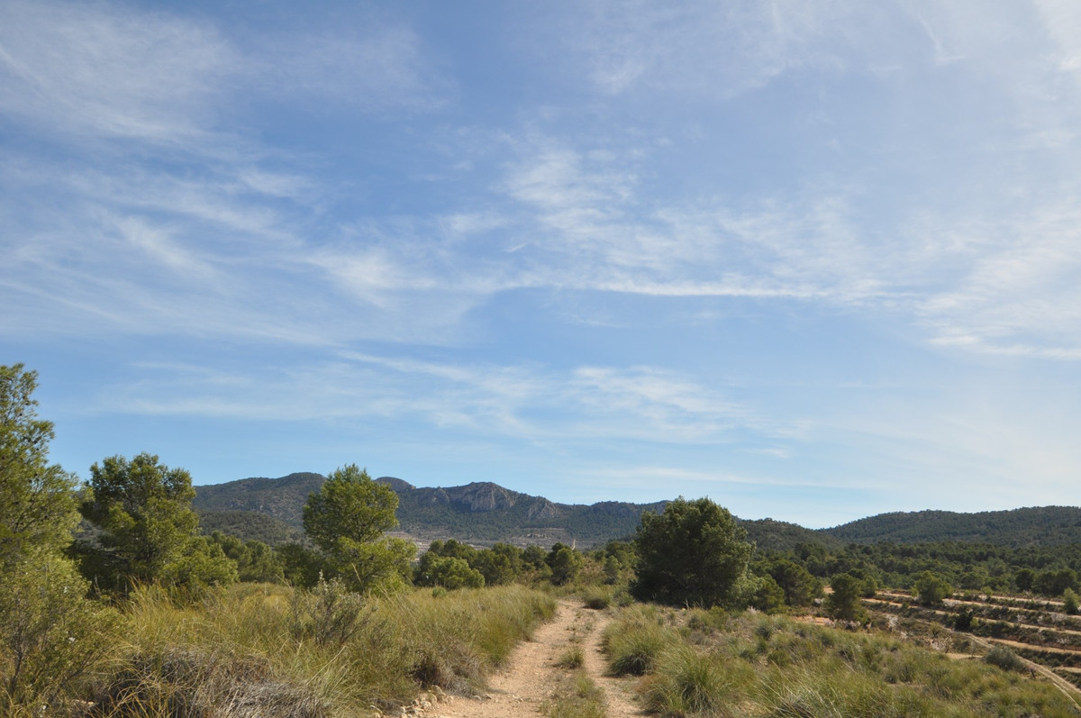 Se vende Terreno Rustico  en Costa Calida, Murcia, España