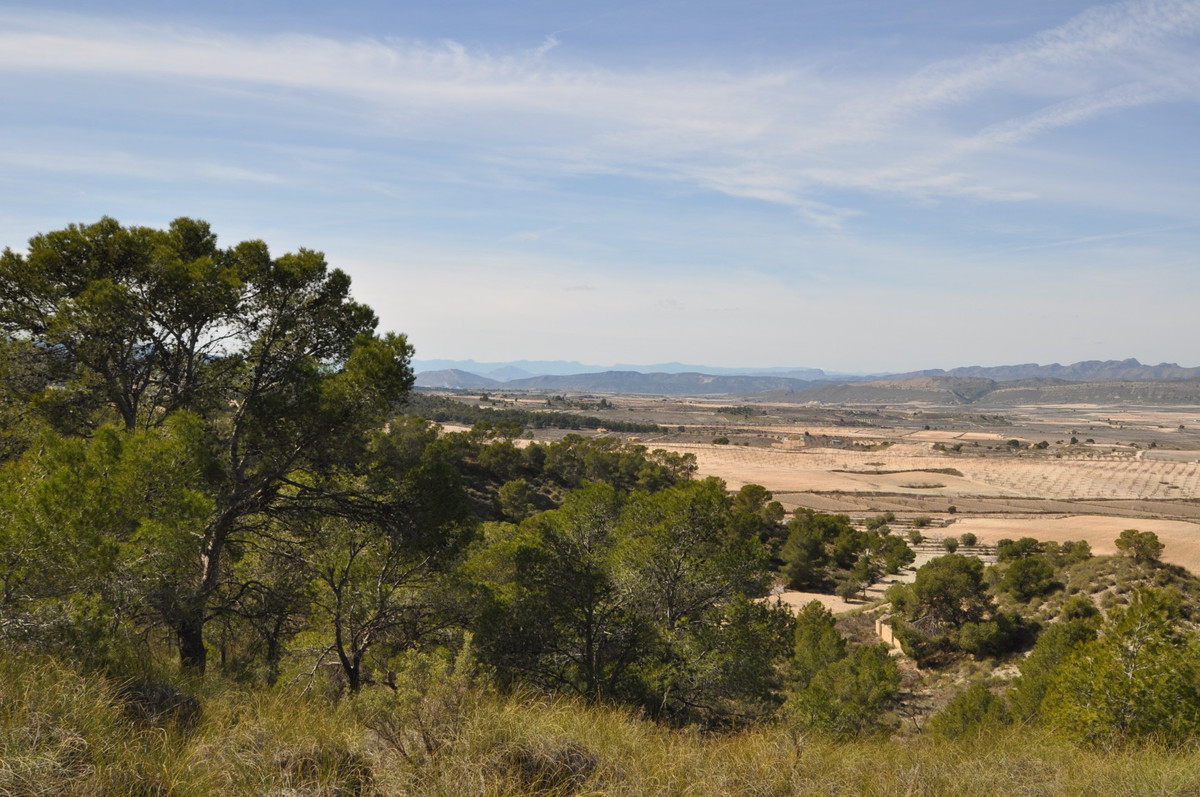 Se vende Terreno Rustico  en Costa Calida, Murcia, España