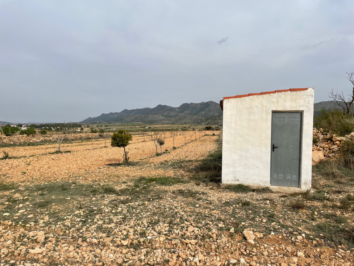 Se vende Terreno Rustico  en Costa Calida, Murcia, España