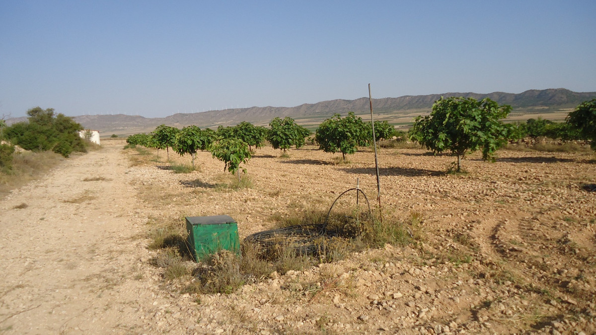 Se vende Terreno Rustico  en Costa Calida, Murcia, España