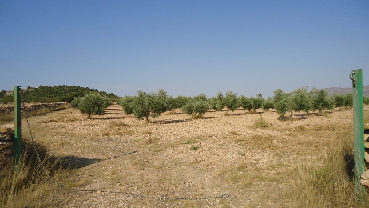 Se vende Terreno Rustico  en Costa Calida, Murcia, España