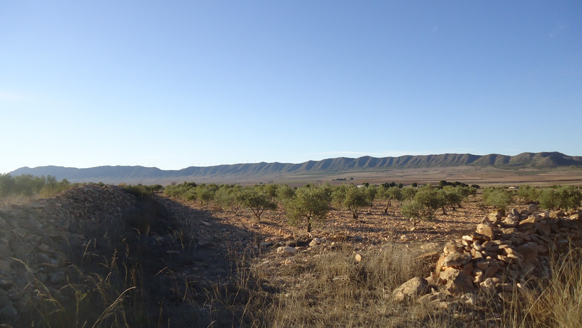 Se vende Terreno Rustico  en Costa Calida, Murcia, España
