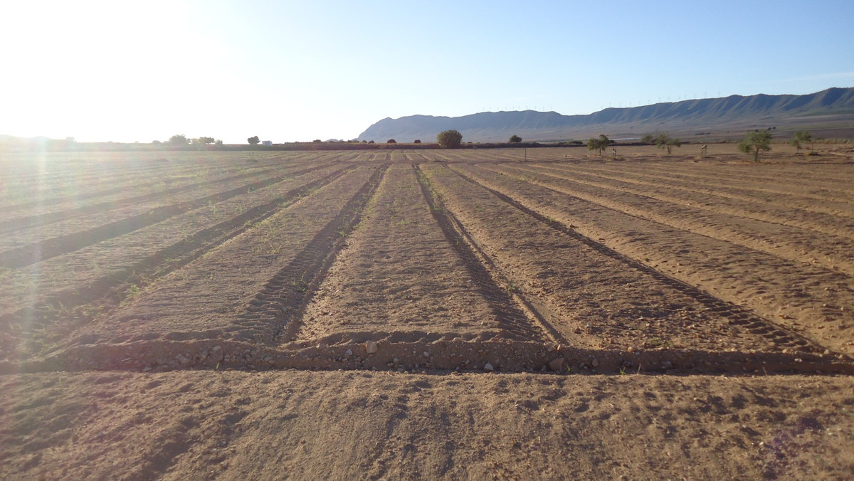 Se vende Terreno Rustico  en Costa Calida, Murcia, España