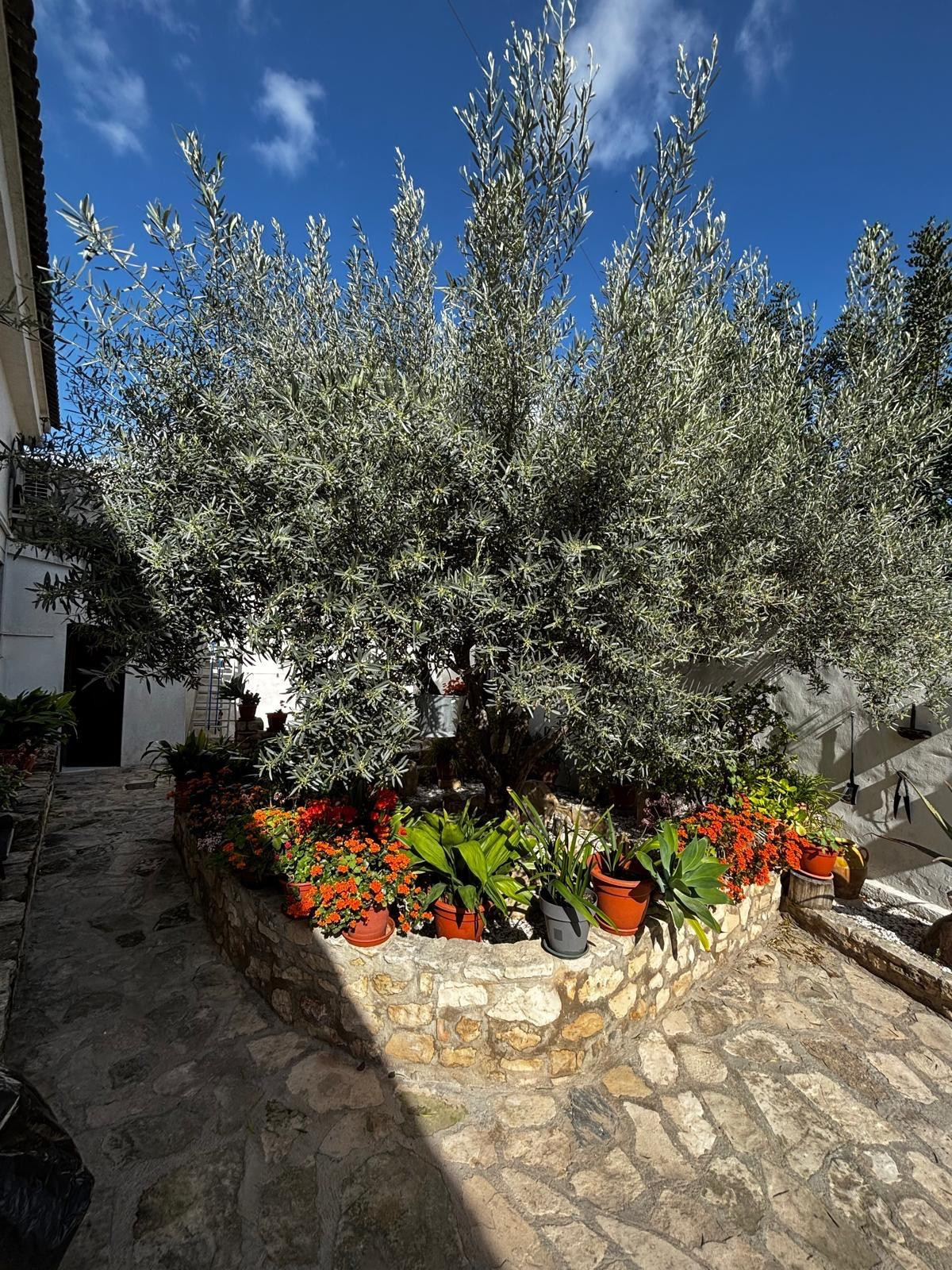 Se vende Finca - Cortijo de 2 dormitorios en Costa Blanca, Alicante, España