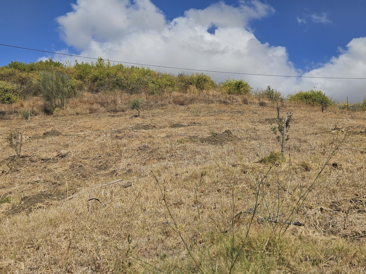 Se vende Terreno Rustico  en Costa Del Sol, Málaga, España