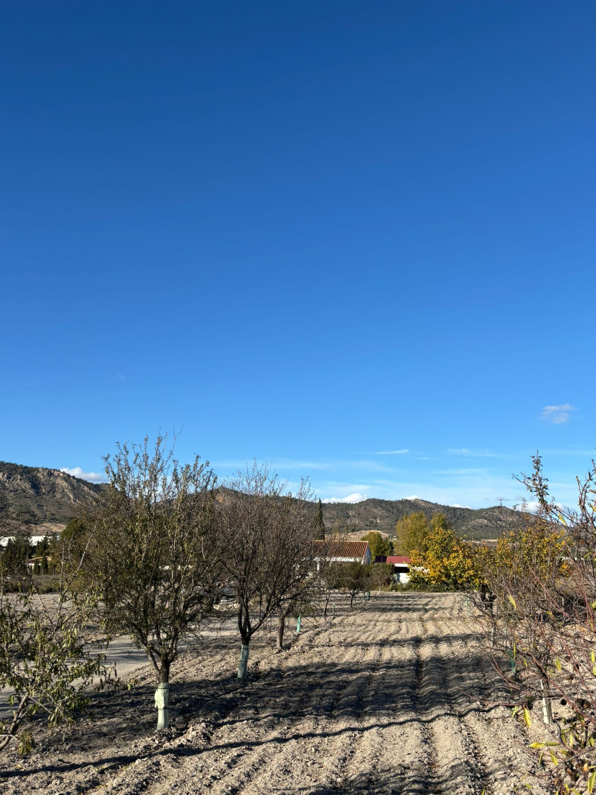 Se vende Finca - Cortijo de 2 dormitorios en Costa Blanca, Alicante, España