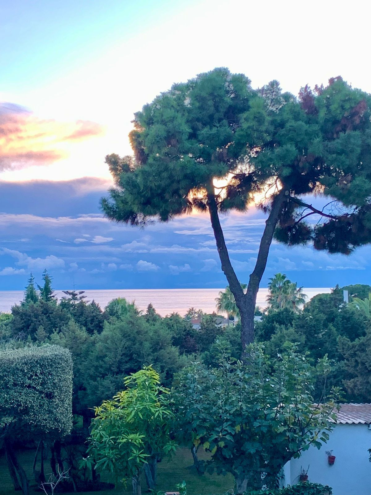 Plots for sale in Marbesa Costa Del Sol, Málaga, Spain