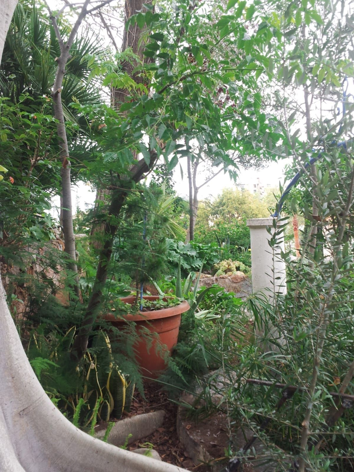5 Bed Townhouse for sale in Torremolinos Costa Del Sol, Málaga, Spain