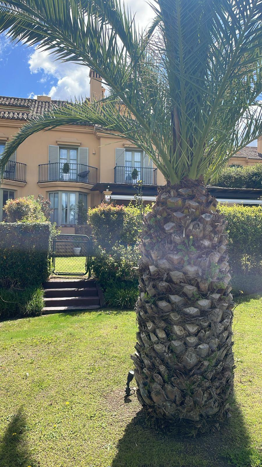 Se vende Adosada de 4 dormitorios en Costa Del Sol, Cadiz, España