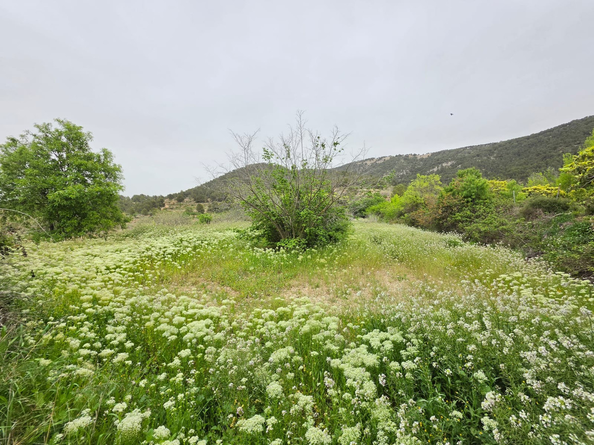 Se vende Terreno Rustico  en Costa Blanca, Alicante, España