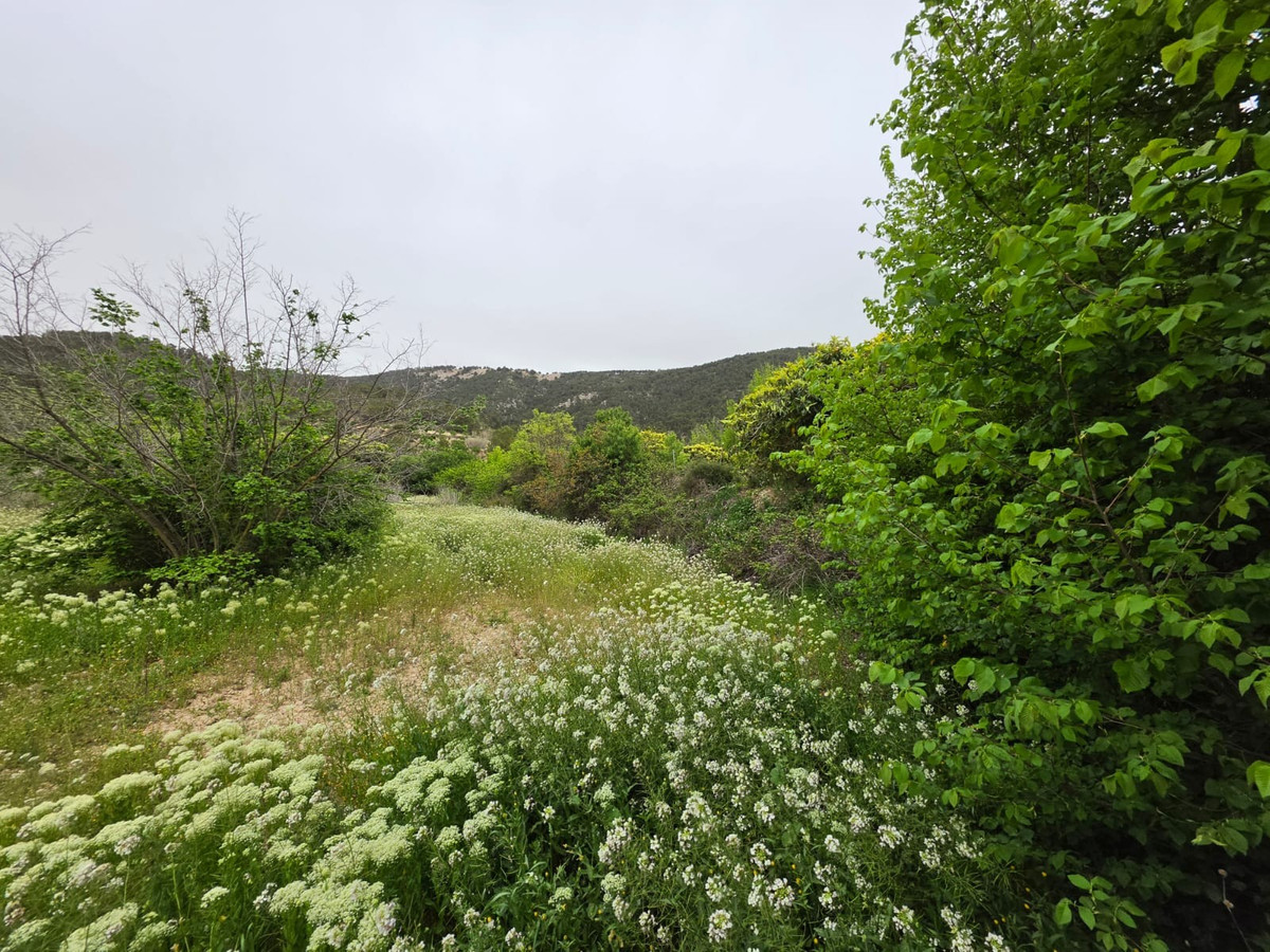 Se vende Terreno Rustico  en Costa Blanca, Alicante, España
