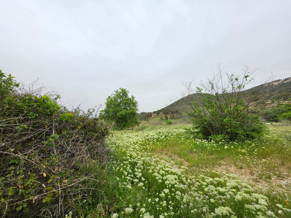 Se vende Terreno Rustico  en Costa Blanca, Alicante, España