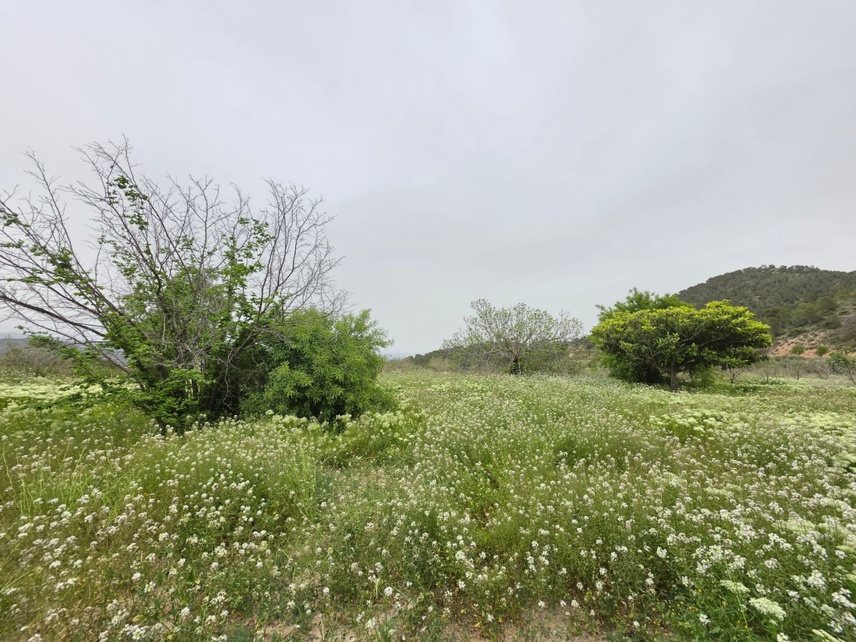 Se vende Terreno Rustico  en Costa Blanca, Alicante, España