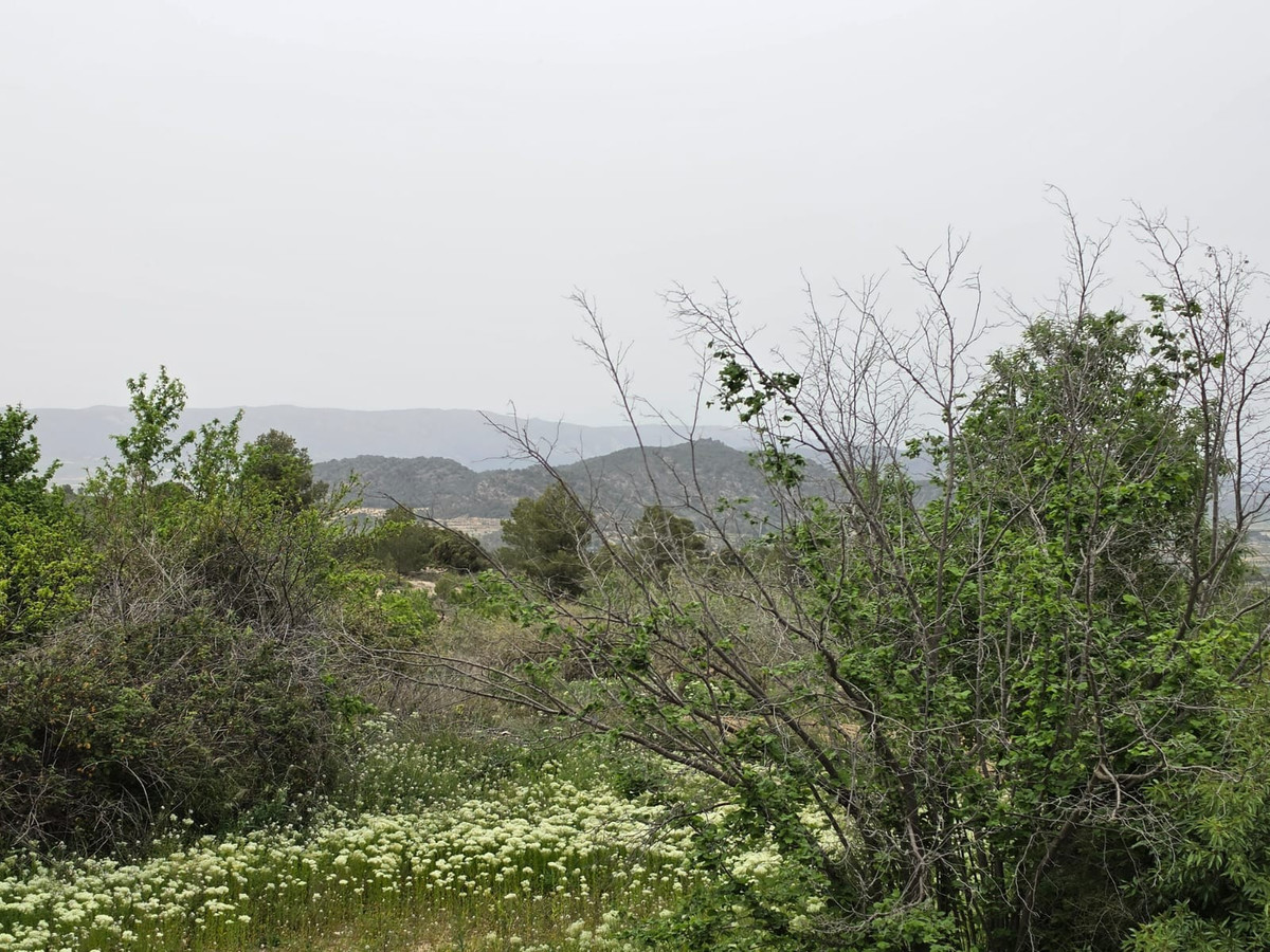 Se vende Terreno Rustico  en Costa Blanca, Alicante, España