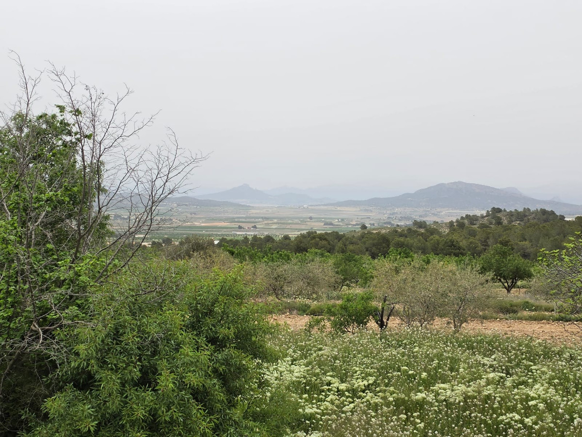 Se vende Terreno Rustico  en Costa Blanca, Alicante, España