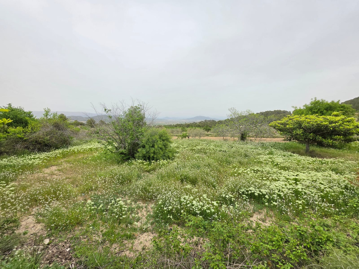 Se vende Terreno Rustico  en Costa Blanca, Alicante, España
