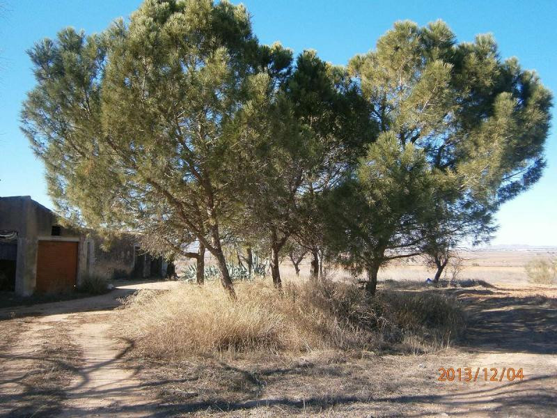 3 Bed Townhouse for sale in Yecla Costa Calida, Murcia, Spain