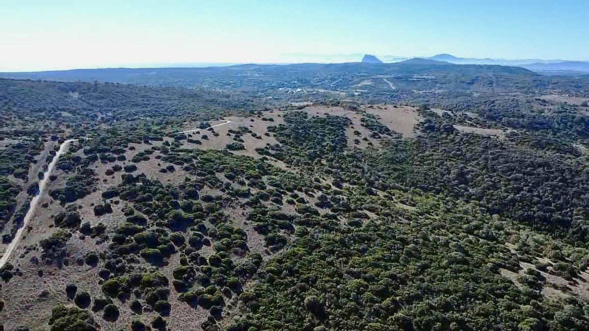 Se vende Terreno con Ruina  en Costa Del Sol, Cadiz, España