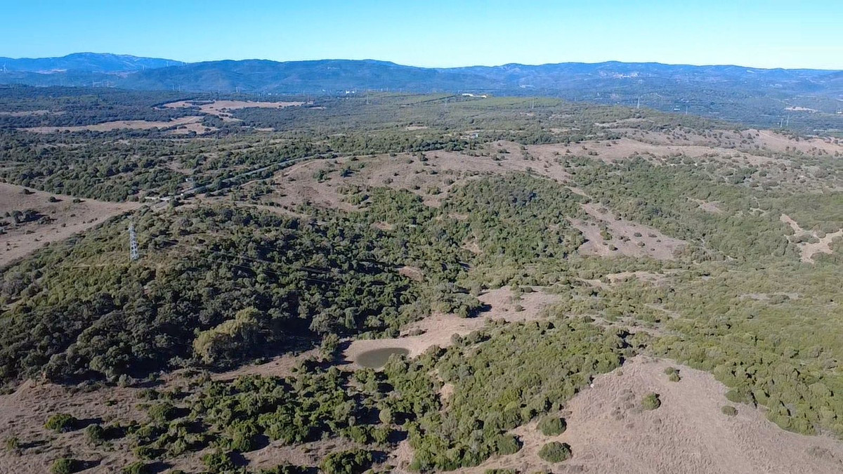 Se vende Terreno con Ruina  en Costa Del Sol, Cadiz, España