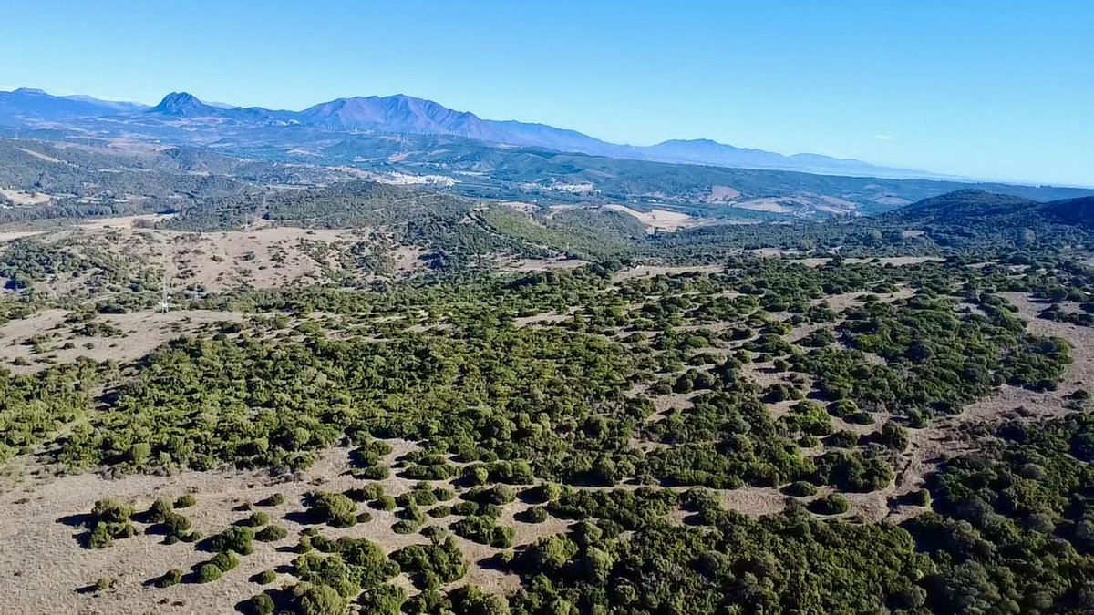 Se vende Terreno con Ruina  en Costa Del Sol, Cadiz, España