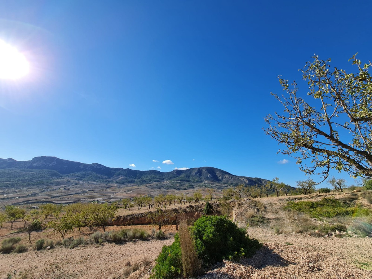 Se vende Terreno Rustico  en Costa Blanca, Alicante, España