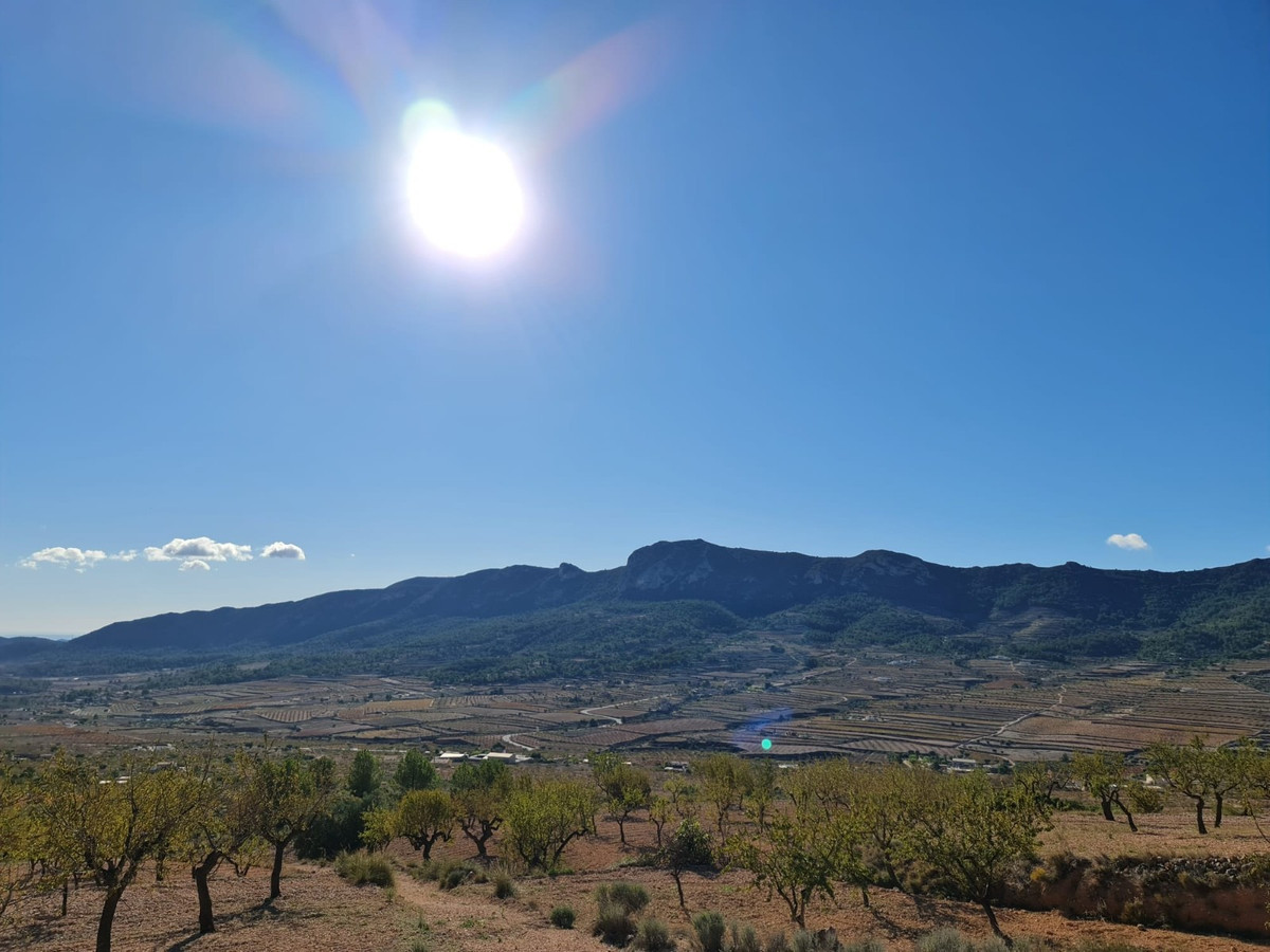 Se vende Terreno Rustico  en Costa Blanca, Alicante, España