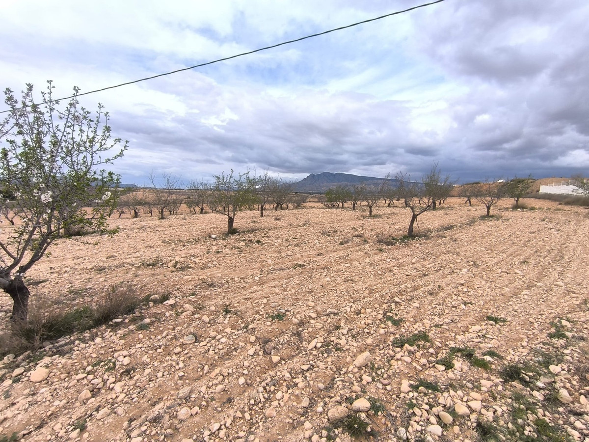 Se vende Terreno Rustico  en Costa Blanca, Alicante, España