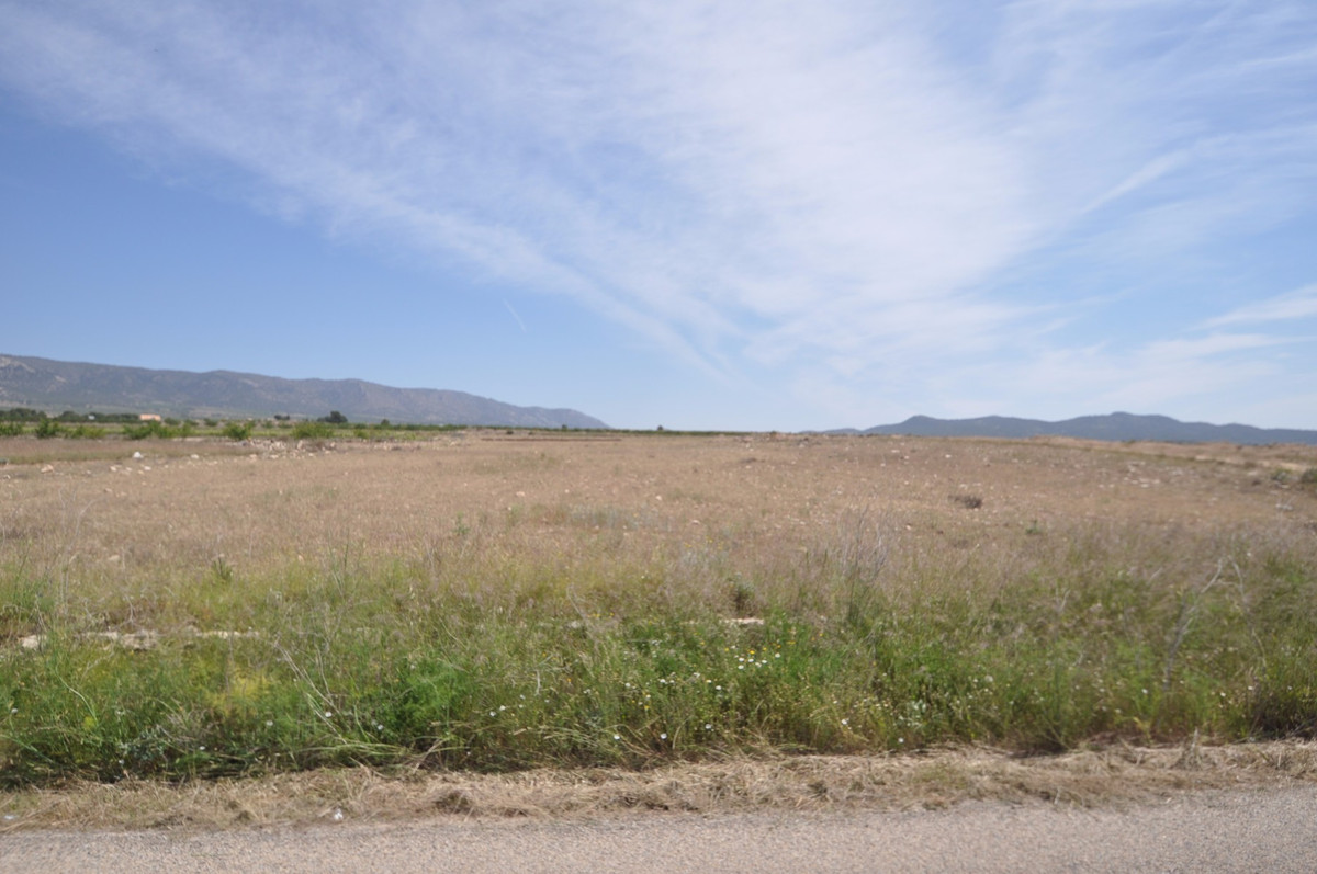 Se vende Terreno Rustico  en Costa Blanca, Alicante, España