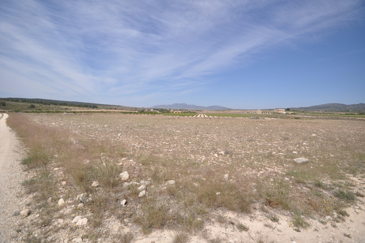 Se vende Terreno Rustico  en Costa Blanca, Alicante, España
