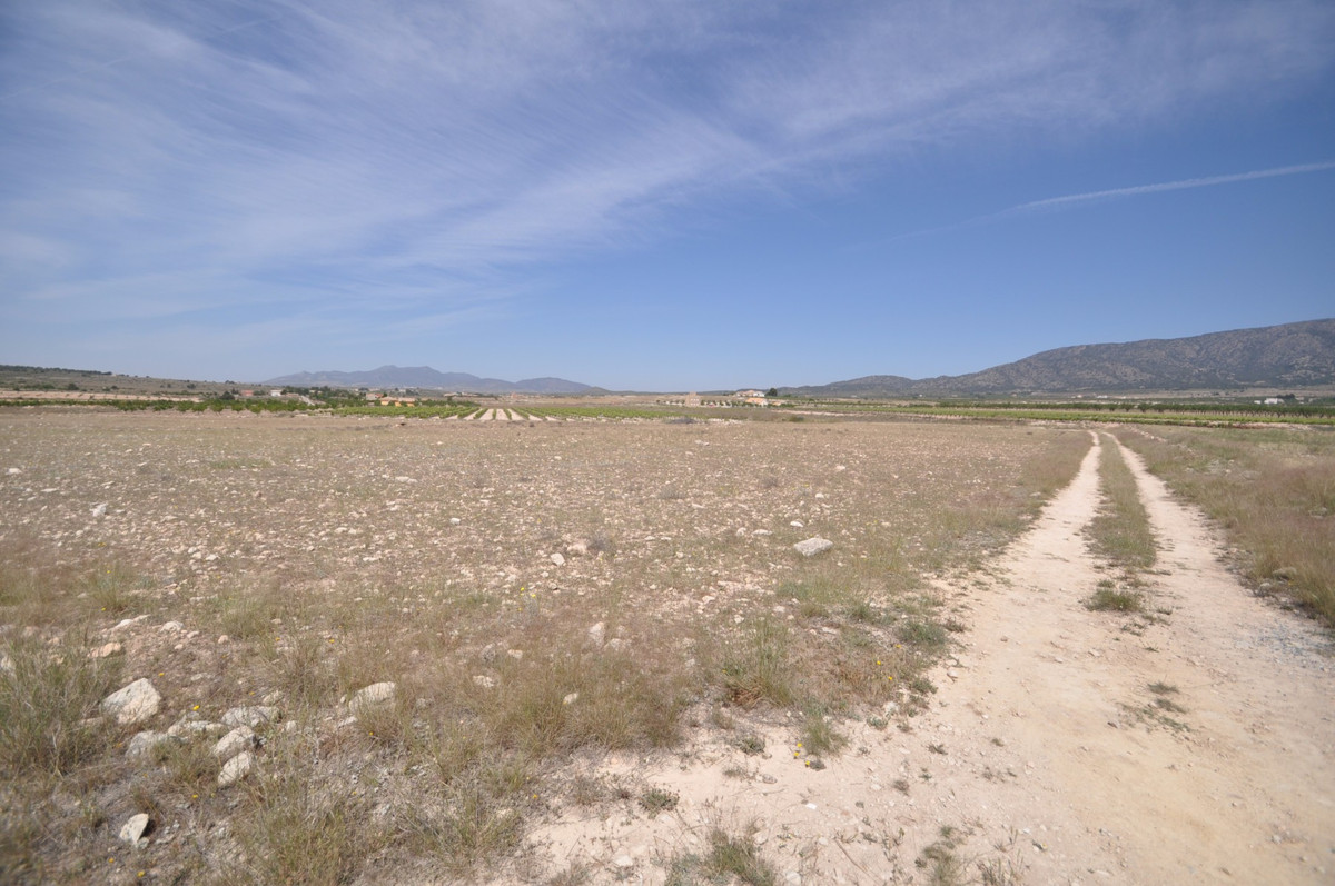 Se vende Terreno Rustico  en Costa Blanca, Alicante, España