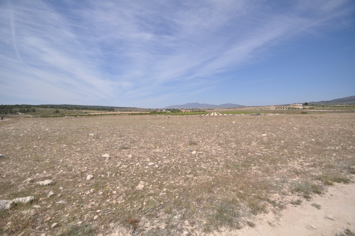 Se vende Terreno Rustico  en Costa Blanca, Alicante, España