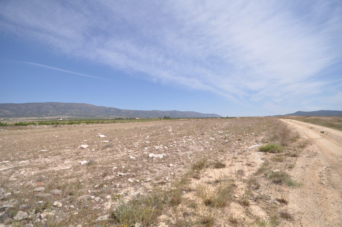 Se vende Terreno Rustico  en Costa Blanca, Alicante, España