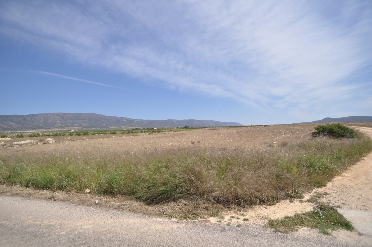 Se vende Terreno Rustico  en Costa Blanca, Alicante, España