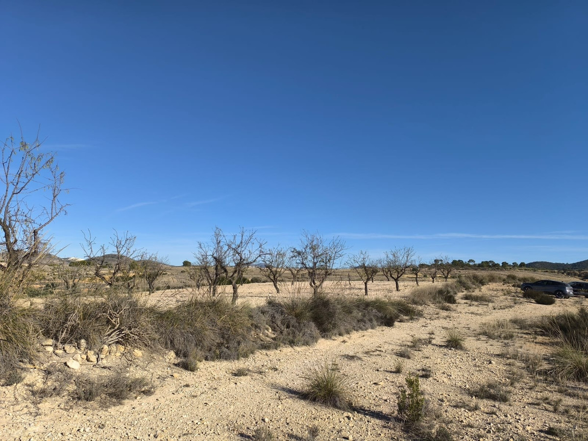 Plots for sale in Jumilla Costa Calida, Murcia, Spain