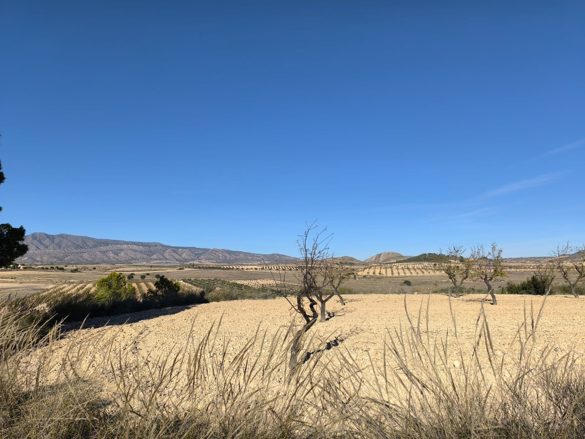 Plots for sale in Jumilla Costa Calida, Murcia, Spain