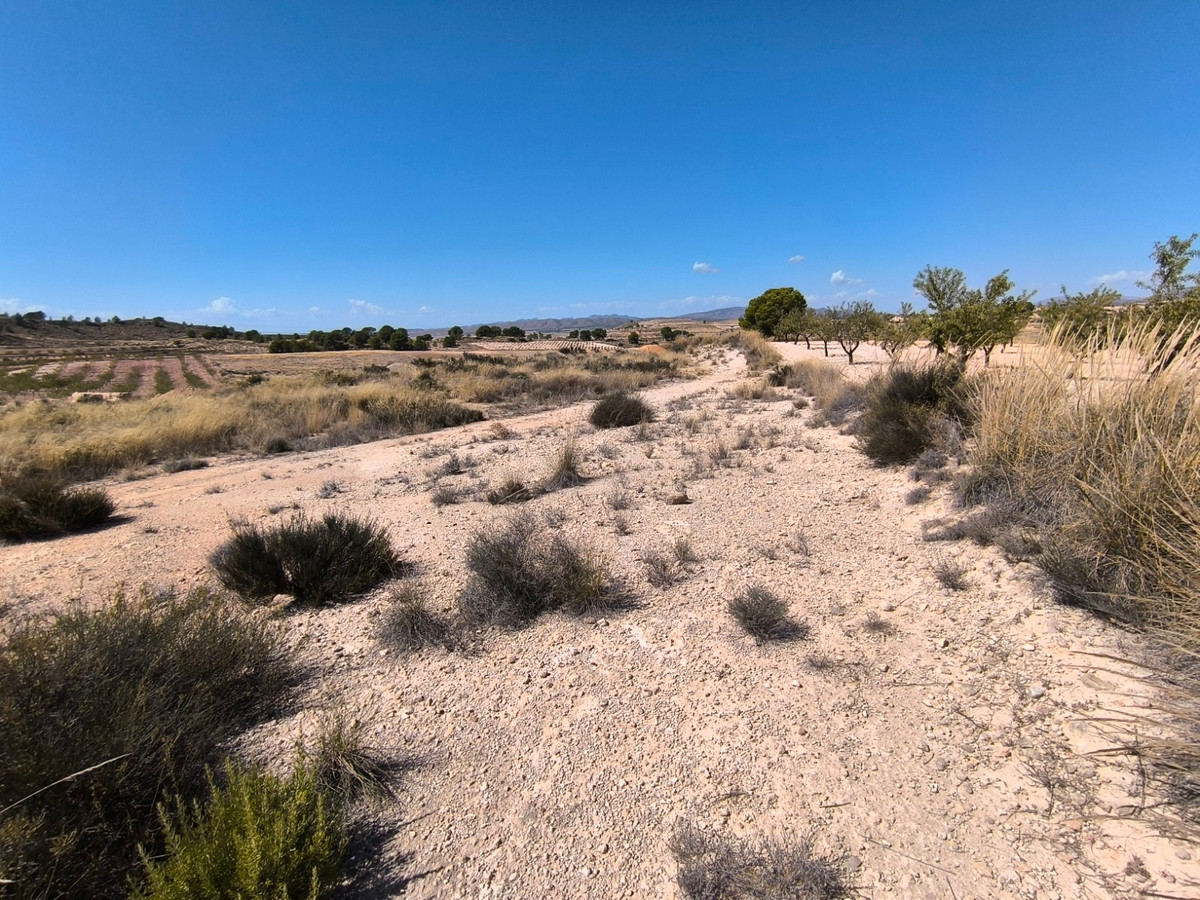 Plots for sale in Jumilla Costa Calida, Murcia, Spain