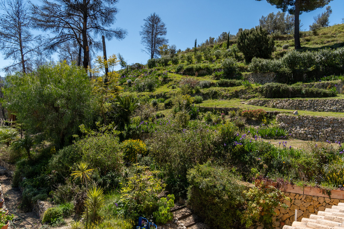 Se vende Finca - Cortijo de 4 dormitorios en Costa Blanca, Alicante, España