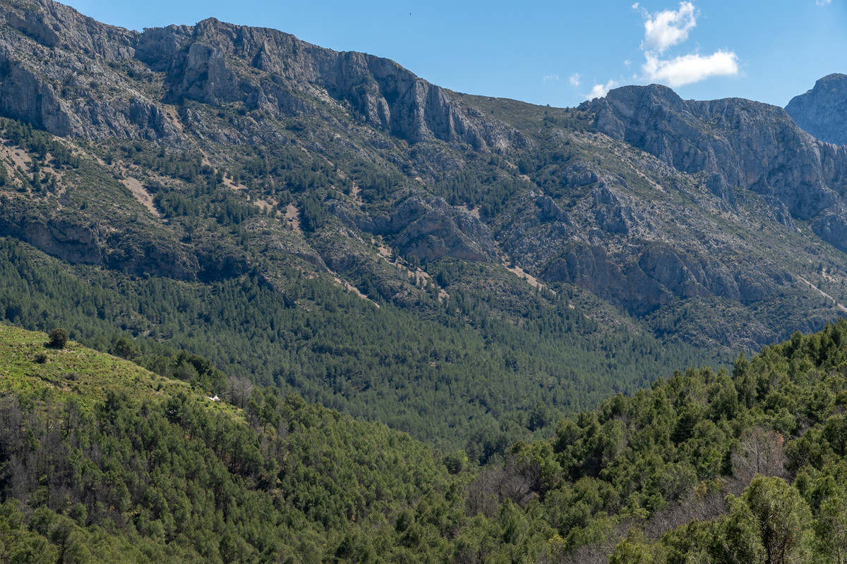 Se vende Finca - Cortijo de 4 dormitorios en Costa Blanca, Alicante, España