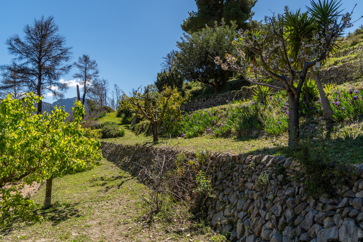 Se vende Finca - Cortijo de 4 dormitorios en Costa Blanca, Alicante, España