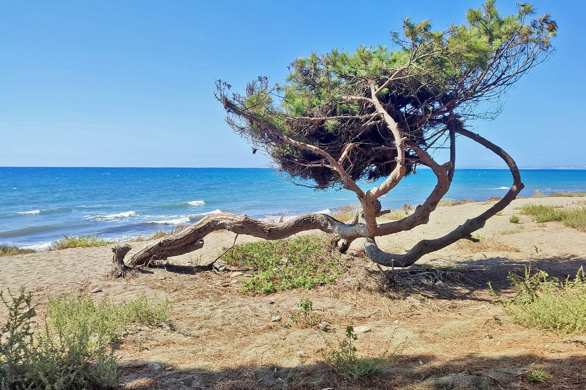 Se vende Ático Dúplex de 4 dormitorios en Costa Del Sol, Málaga, España