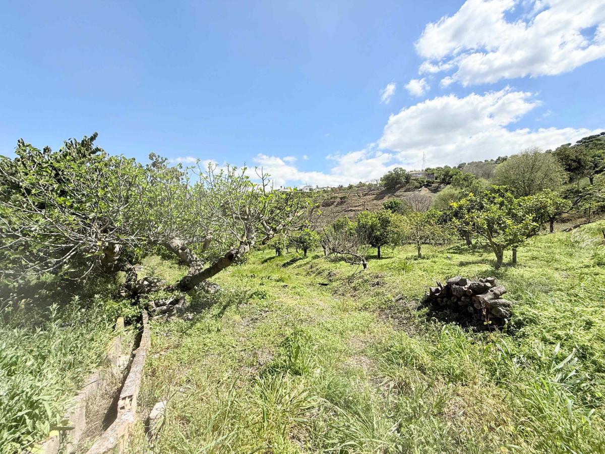 Se vende Finca - Cortijo de 3 dormitorios en Costa Del Sol, Málaga, España
